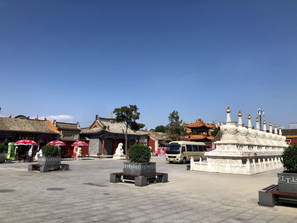 来呼和浩特大召广场吃喝玩乐一站到位让我感受到了草原的热情