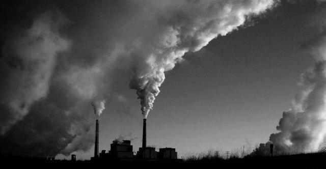 二氧化碳|二氧化碳有“毒”？可加快树木死亡，科学家：未来地球令人担忧