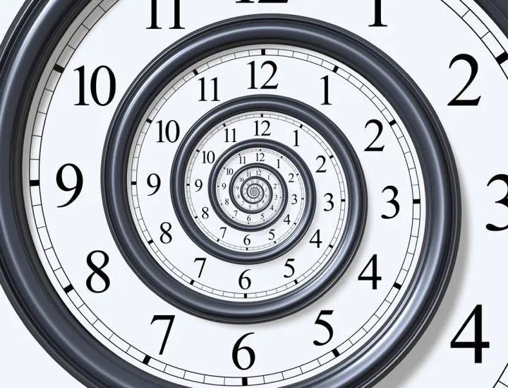 脊椎动物|从明朝崇祯元年活到今天，392岁，地球最长寿脊椎动物被发现