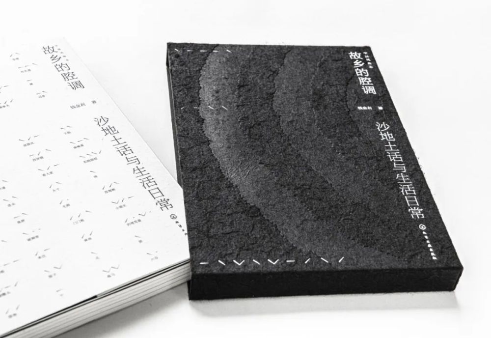 钱金利|一本书的腔调与一个地方的日常