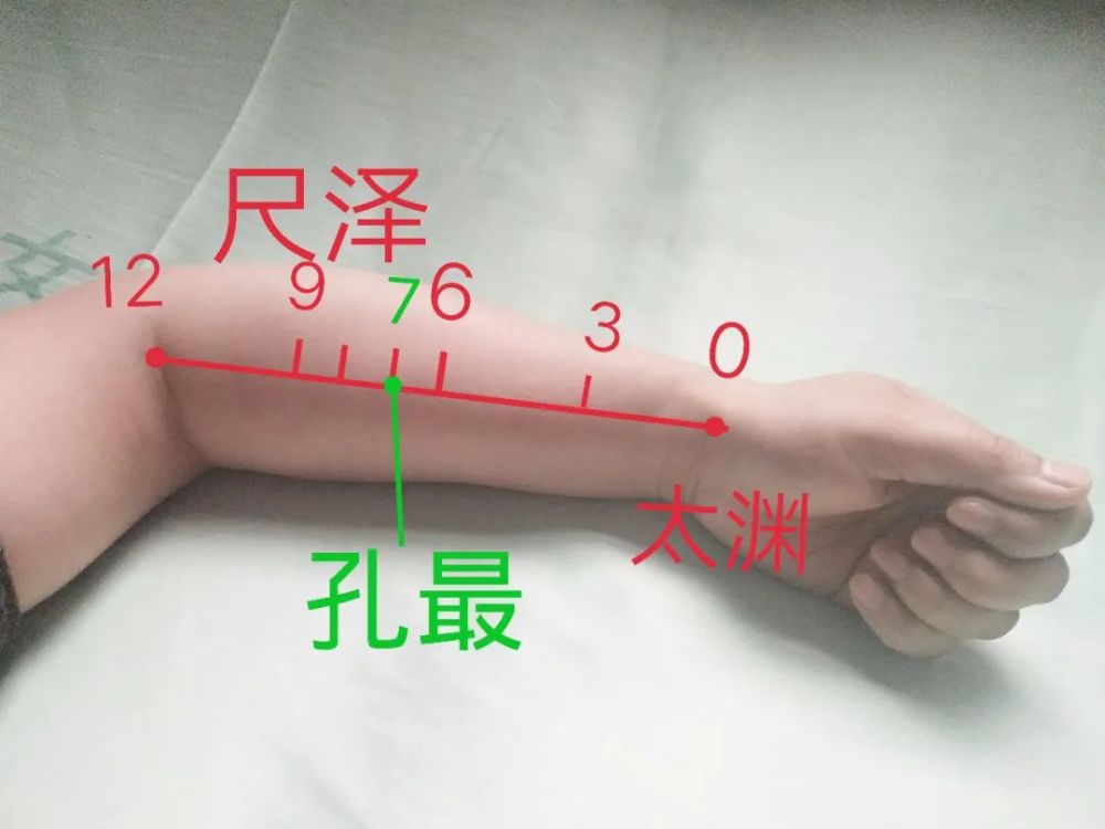 安军明教授谈穴位养生——孔最