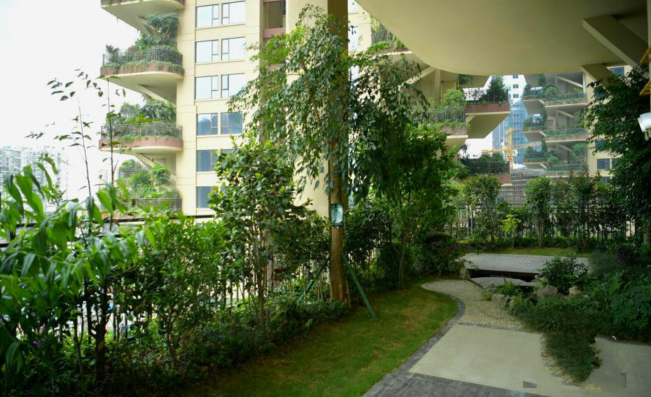 被绿植包围的森林小区,家家阳台满是植物,你想住进去吗?