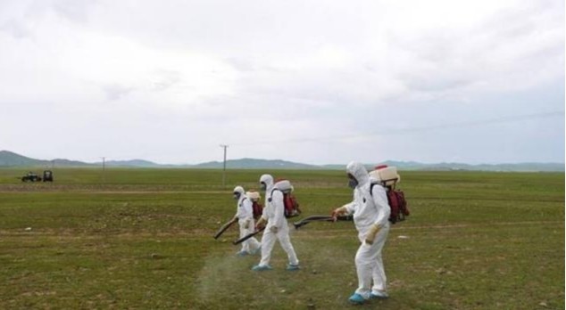 蝗虫|治理蝗灾新方法，由我国团队发现，引起国外媒体争相报道