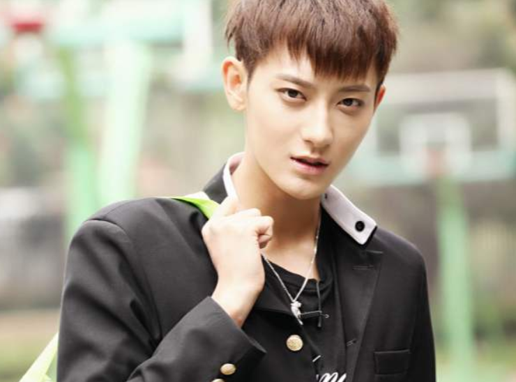 黄子韬|黄子韬父亲逝世，200亿资产真假难辨，曾为儿子呕心沥血