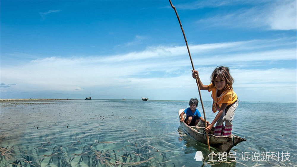 美人鱼|“美人鱼”的后代出现了？他们一生在海洋中生存，是为了什么？