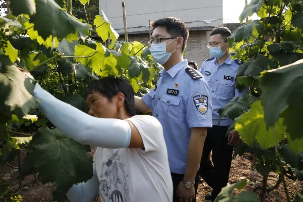 00 : 00 平安九龍坡 企鵝號 分享 評論 0 我們是西彭派出所民警……