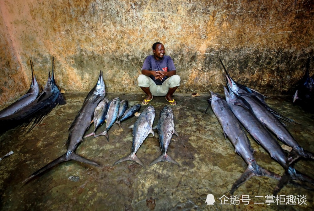 灭绝|细思极恐的物种灭绝，50年已经消失了2/3，人类的孤独还远吗？