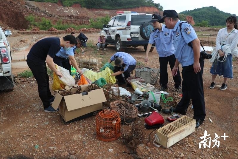 獵捕野生動物的作案工具進行集中銷燬,共計銷燬獵捕器80套,誘捕器9套