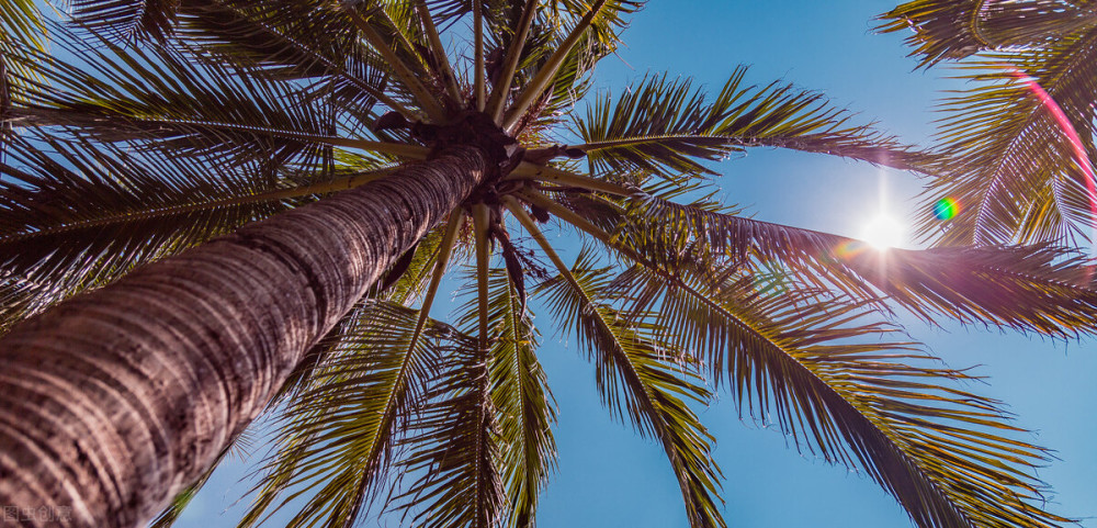 自驾|北京到海南的自驾，别走车多道窄的G4高速，隔壁公路车少景又美