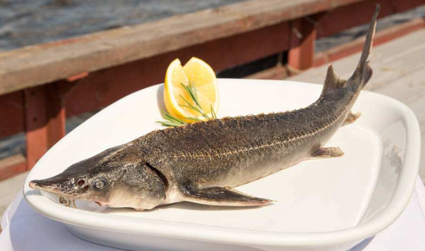 食品动物中禁止使用五氯酚酸钠.