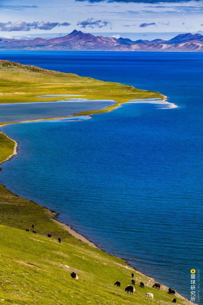 除此之外盐湖并非毫无生气许多适应极端环境的嗜盐微生物如嗜盐古菌