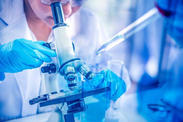 袁园圆|猫咪误用麻醉药，是老虎五倍的量，解药科学家正在研究