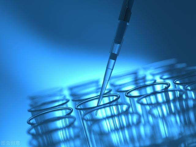 袁园圆|猫咪误用麻醉药，是老虎五倍的量，解药科学家正在研究