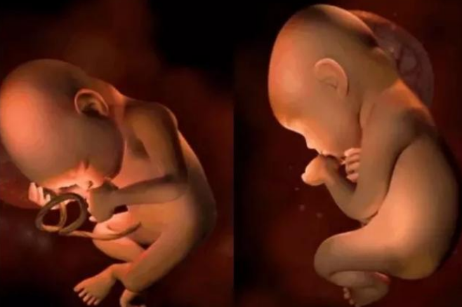 怀孕31周,胎儿各项发育指标是怎样的?达到这些数值就不必担心_腾讯新