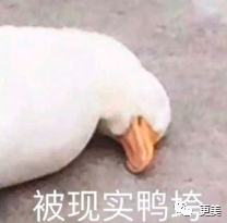 王俊凯|钱枫胖到快要发病？王俊凯竟也有同款病兆…