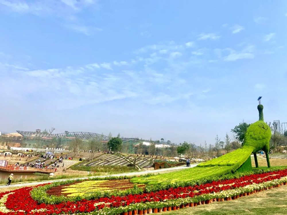 犍为旅游的美丽画卷—世界茉莉博览园