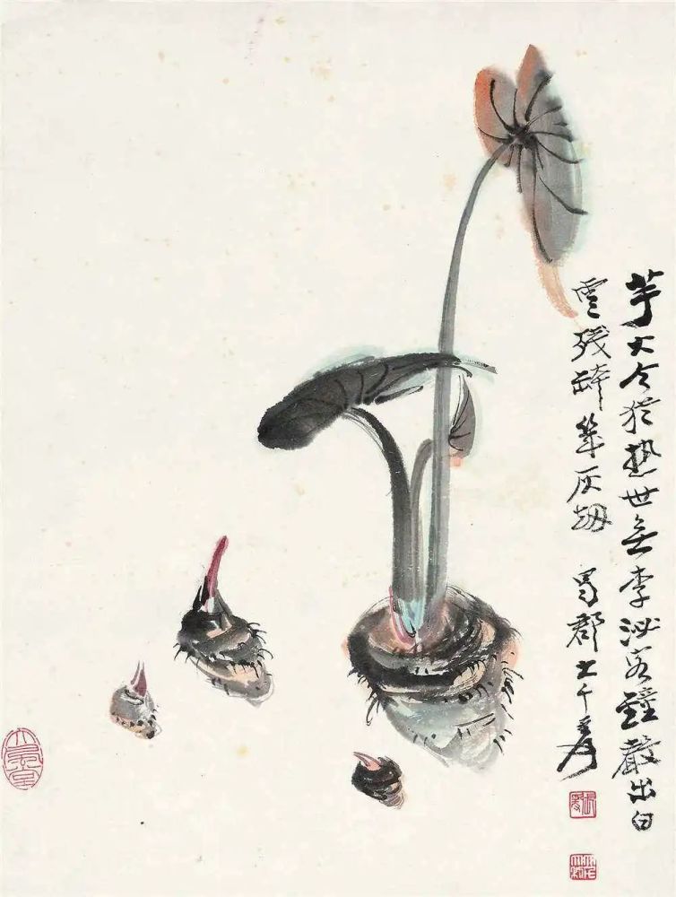 水竹芋的水墨画图片
