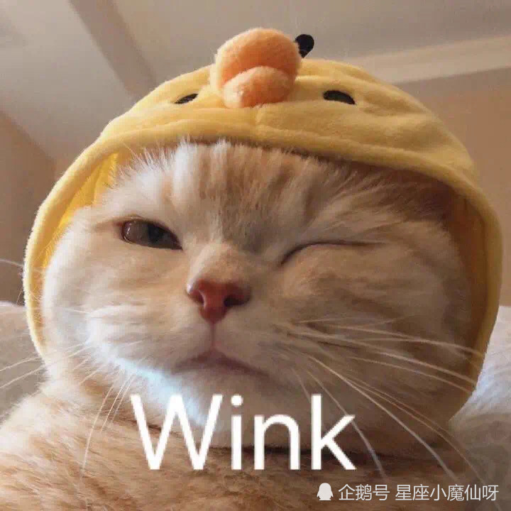 12星座男会怎样伤恋人心 摩羯座理性到没人性 腾讯新闻
