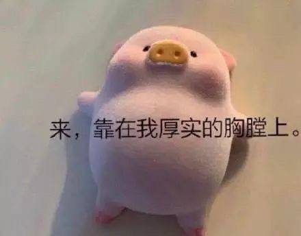 可爱猪猪表情包看我的猪猪可爱大法