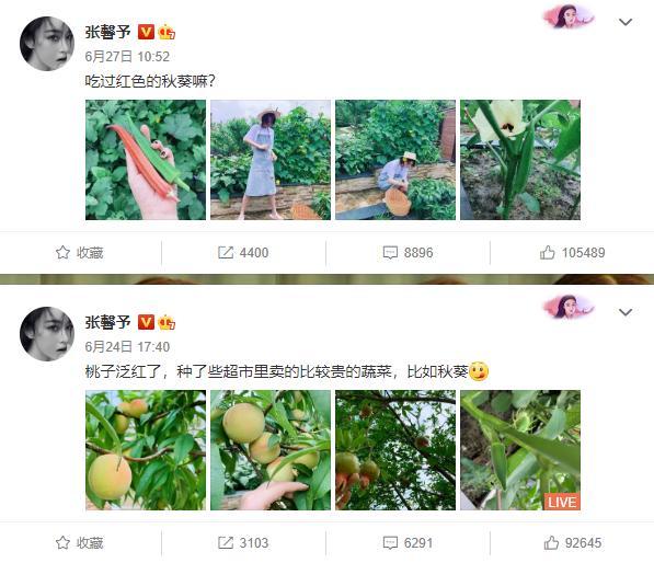 张馨予|怒怼营销号、为女星身材自由发声，张馨予早已“弯道超车”范冰冰