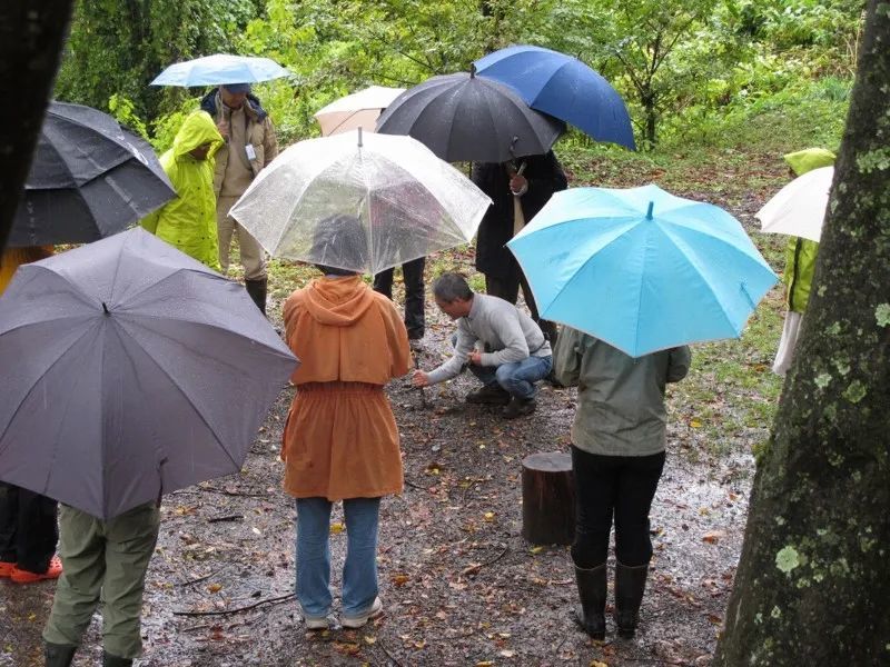 拉野屎|日本“拉野屎”大师坚持了45年，为的是回馈地球母亲
