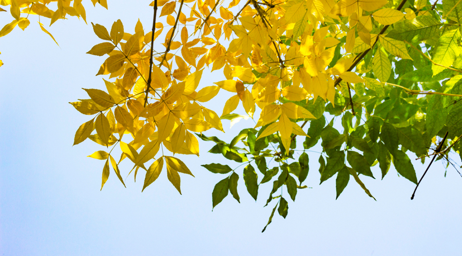 怀孕|一年中这个时间怀孕最好，竟然是有科学依据的