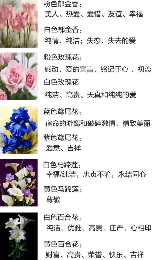油画|这么美的油画花卉，真的惊艳到我了！