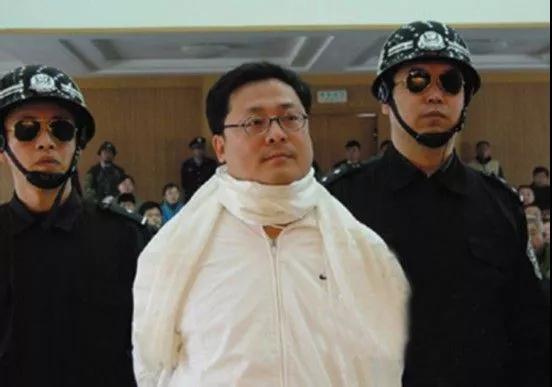 大学|政法大学毕业，专业学法、懂法而不守法的京城亿万富豪伏法记