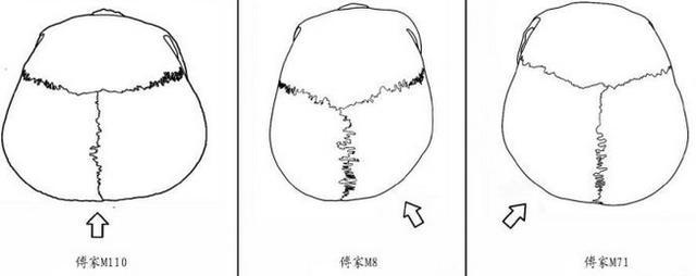 满族|现代中国人的扁头是如何形成的？是满族带进来的吗？那古代可有？