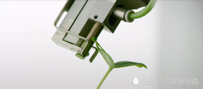 粮食安全|逼出来的世界先进。未来30年，粮食安全面临挑战，解决方案来了