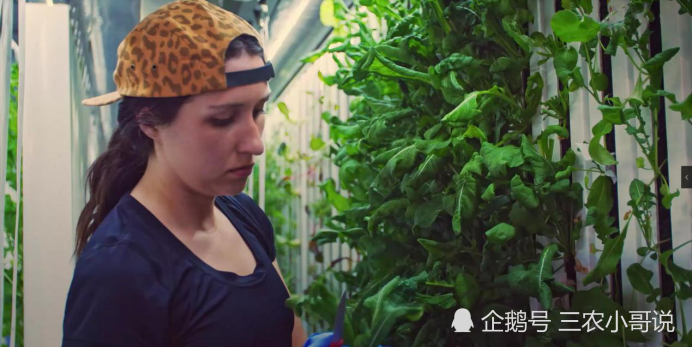 粮食安全|逼出来的世界先进。未来30年，粮食安全面临挑战，解决方案来了