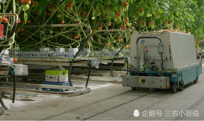 粮食安全|逼出来的世界先进。未来30年，粮食安全面临挑战，解决方案来了