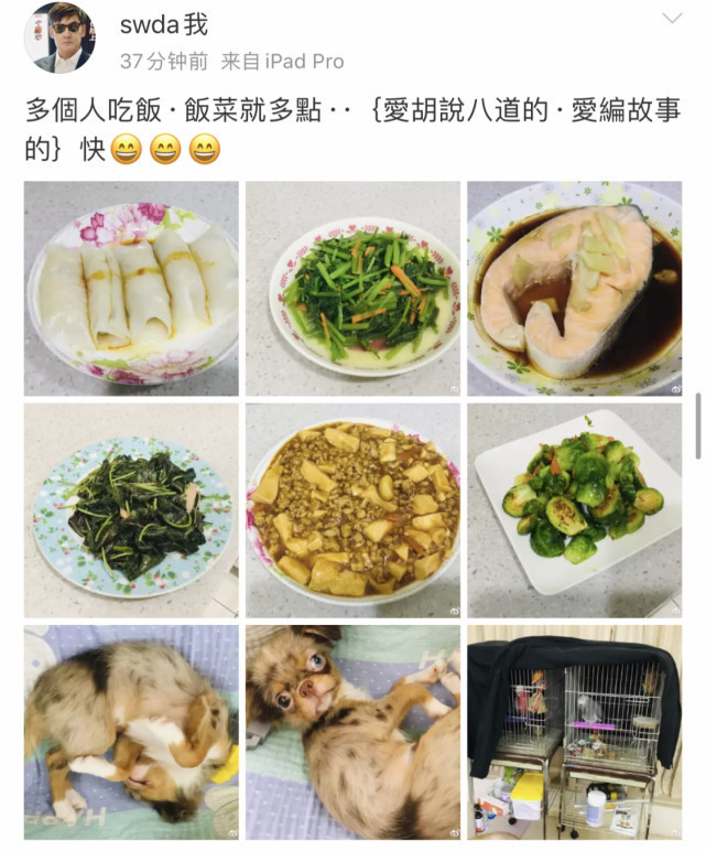 郭碧婷|郭碧婷爸爸带头磕糖，晒女婿送的玫瑰花，向佐深情表白郭碧婷庆结婚一周年