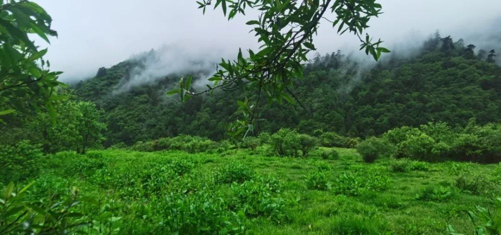 日喀则|喜马南麓——日喀则调查