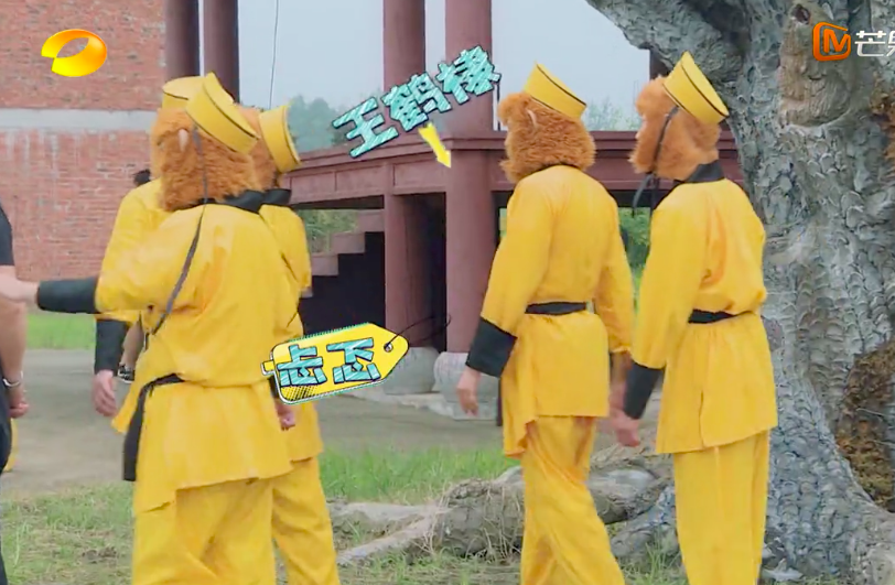 杨洋|王耀庆吴奇隆频繁认错人，杨洋一路躲藏真惨，摔跤掉手机笑点足