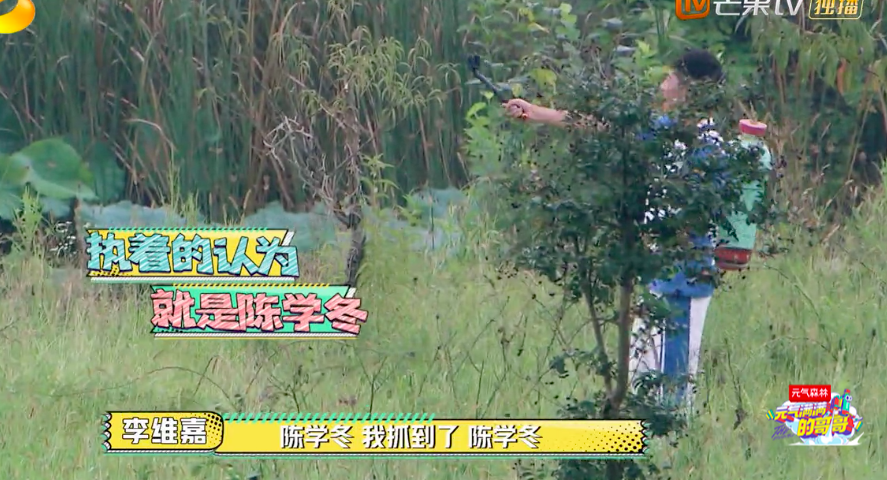 杨洋|王耀庆吴奇隆频繁认错人，杨洋一路躲藏真惨，摔跤掉手机笑点足