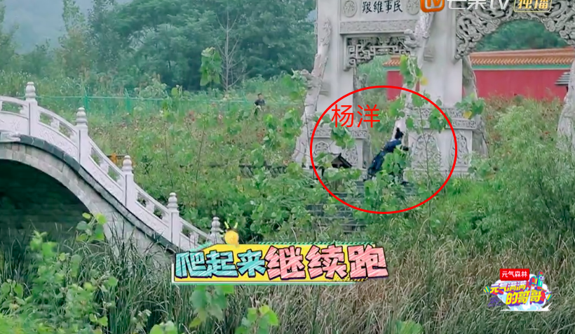 杨洋|王耀庆吴奇隆频繁认错人，杨洋一路躲藏真惨，摔跤掉手机笑点足