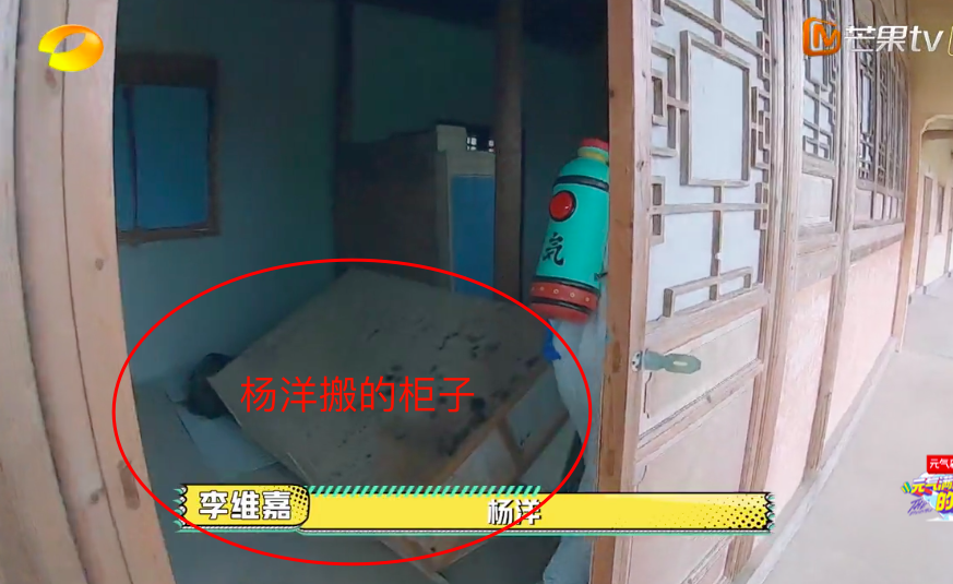 杨洋|王耀庆吴奇隆频繁认错人，杨洋一路躲藏真惨，摔跤掉手机笑点足