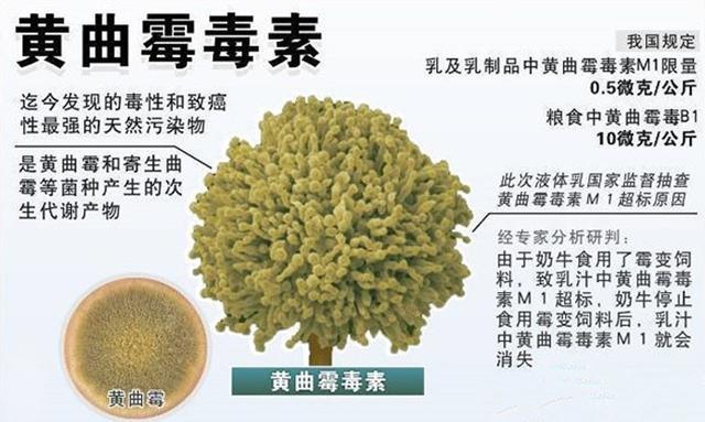 致癌物|比砒霜还危险？藏有致癌物的这种油，不少人还总喜欢拿来去做菜
