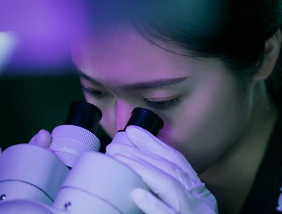 郑秀晶|OCN新剧《搜索》预告中 郑秀晶盯上目标了