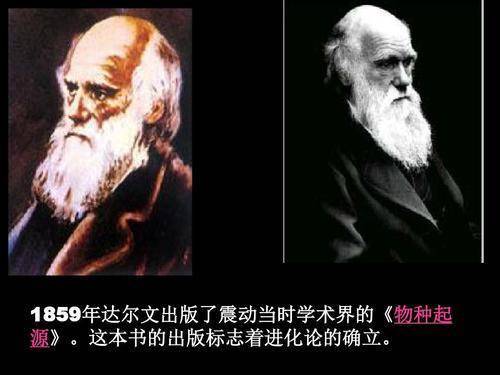神创论|人类是怎么演化而来的？