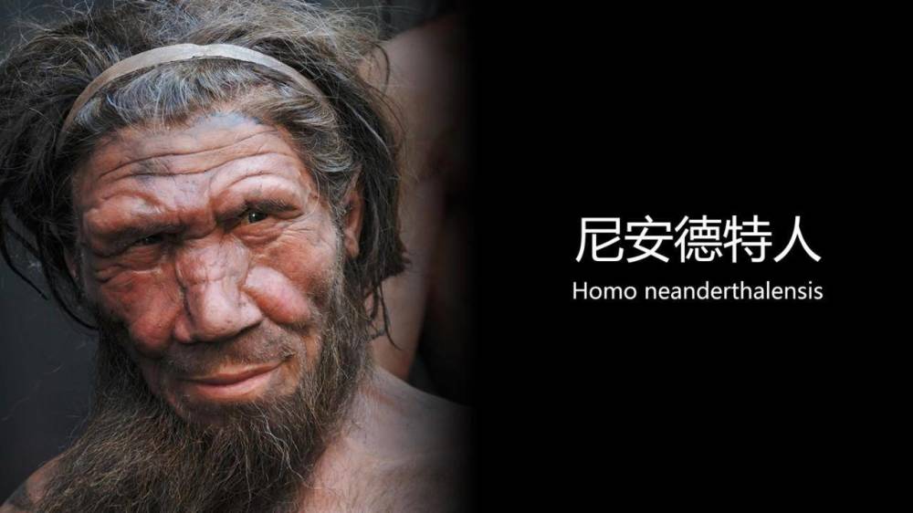 神创论|人类是怎么演化而来的？