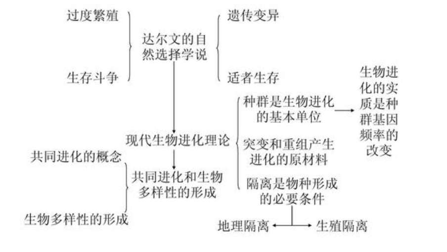 神创论|人类是怎么演化而来的？