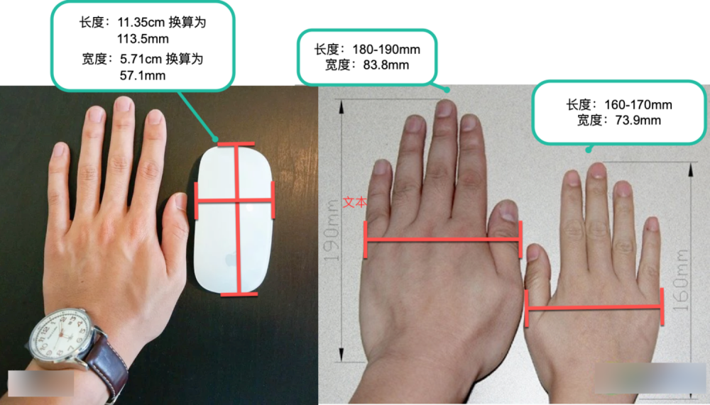 Mac有必要用苹果鼠标吗 腾讯新闻