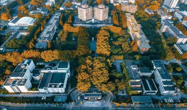 同心同德同舟楫 济人济事济天下 同济大学不愧是世界一流高校 腾讯新闻