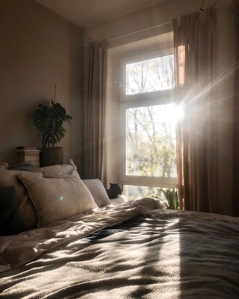 阳光充沛也是caroline卧室的特点之一还不像一般的卧室阳光直接照进来