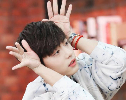 谭松韵|艺人网络影响力榜，谭松韵第2，鹿晗第4，肖战第5，第1实至名归