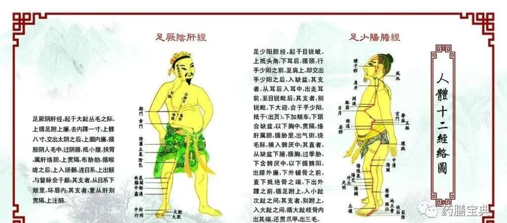 观察是哪条经络的问题: 1,大腿内外侧的肥胖(外裤线的位置——胆经