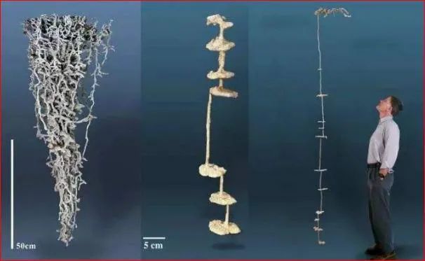 马斯克|马斯克：我们活在真实世界的概率只有十亿分之一