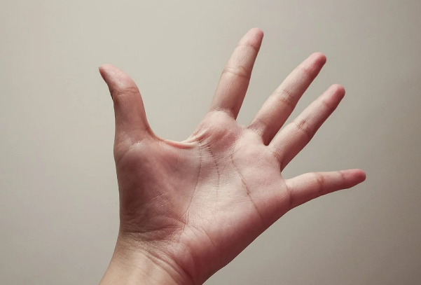 运气测试:四个手掌,哪个手相和你最相似?测你赚钱的代价是什么?